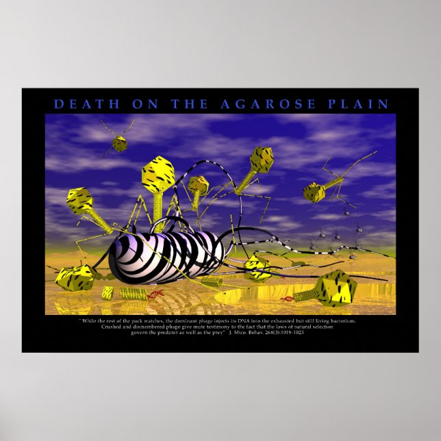 Death on the Agarose Plains Poster (Front)