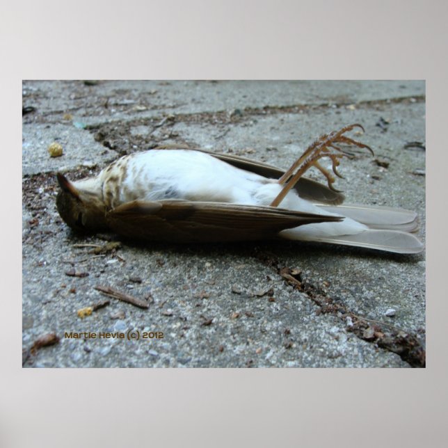 Death Poster (Front)