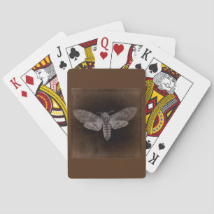 Death’s Head Moth Playing Cards