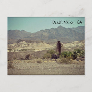Death Valley, CA Postcard