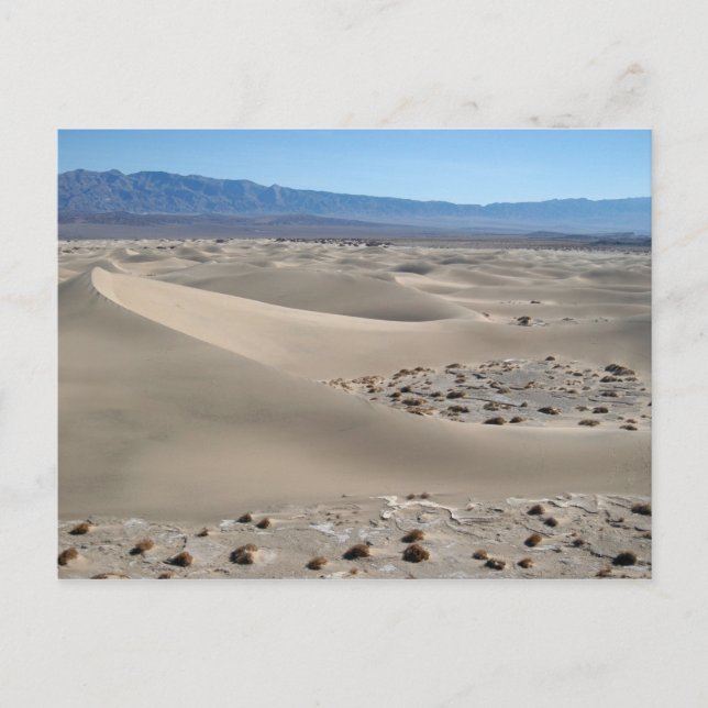 Death Valley Dunes 2 Postcard (Front)