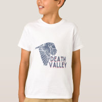 Death Valley hawk