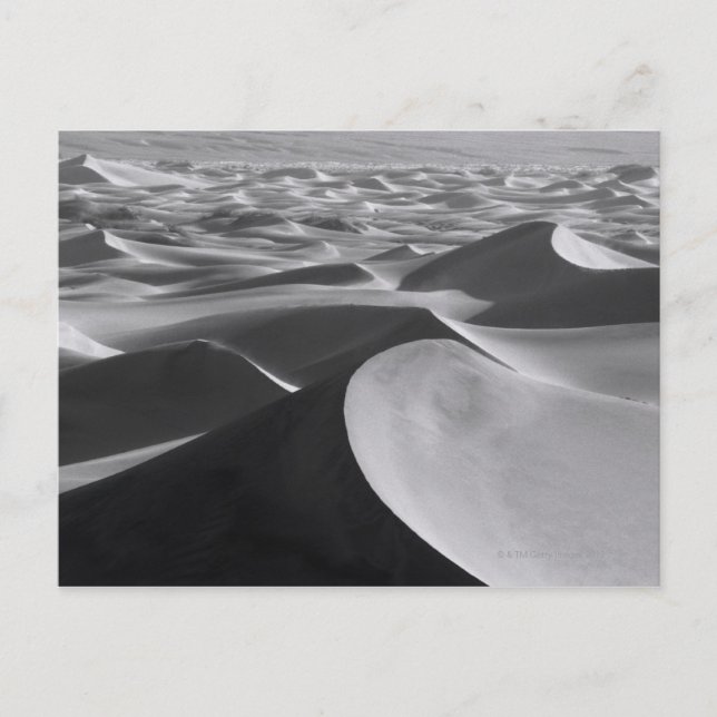 Death Valley Landscape Postcard (Front)