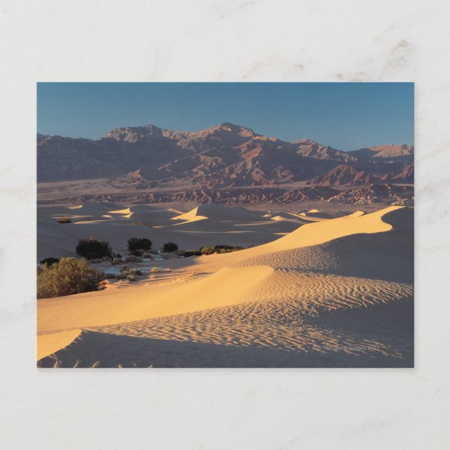 Death Valley National Monument , California Postcard (Front)