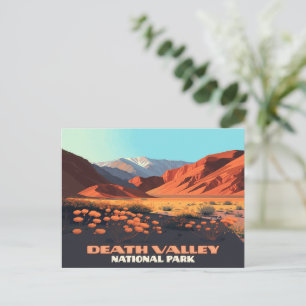 Death Valley National Park California Poppies Postcard