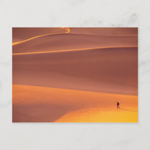 Death Valley National Park California Postcard