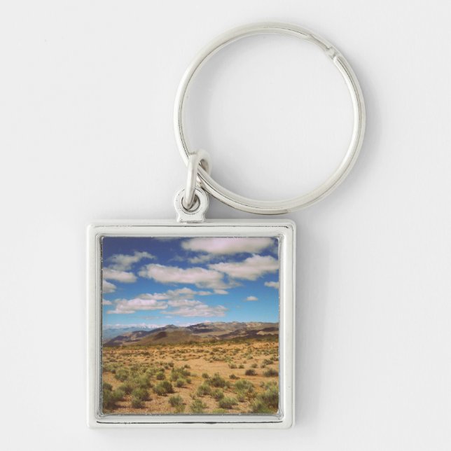 Death Valley Roadtrip Photo Key Ring (Front)