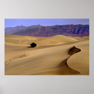 Death Valley sand dune Poster