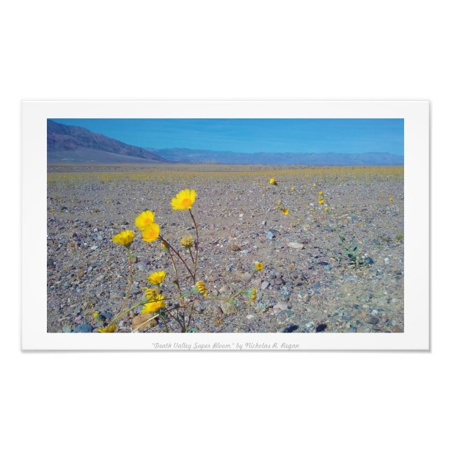 "Death Valley Super Bloom," Nature Photo Print (Front)