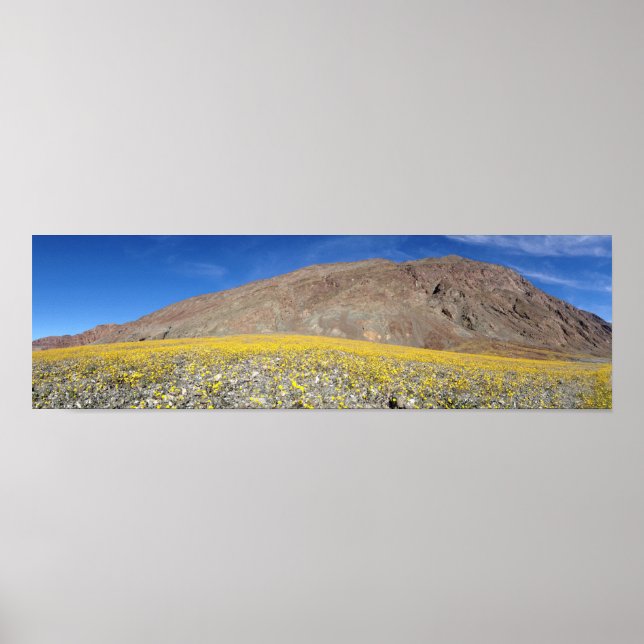Death Valley Super-bloom Poster (Front)