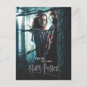 Deathly Hallows - Hermione and Ron Postcard