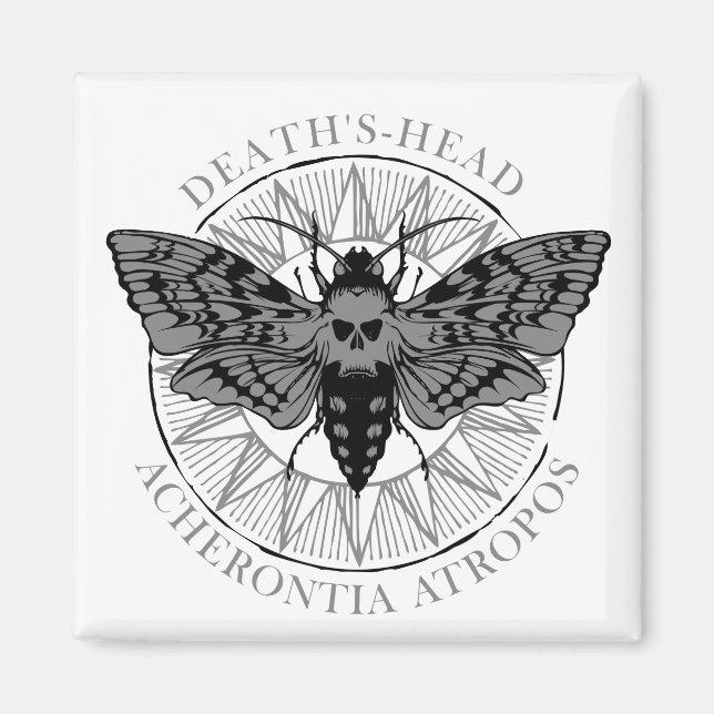 deaths head hawk moth magnet (Front)