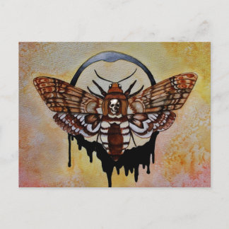 Death's Head Hawk Moth Postcard