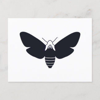 Death's Head Hawk Moth Postcard