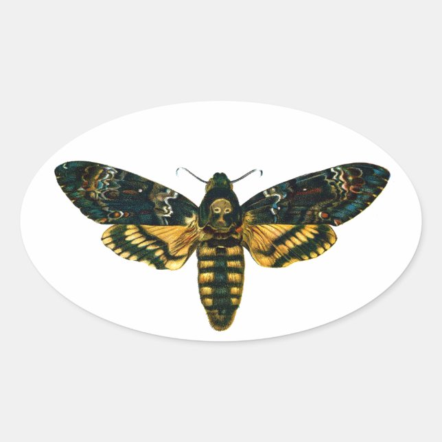 Death's Head Moth Oval Sticker (Front)