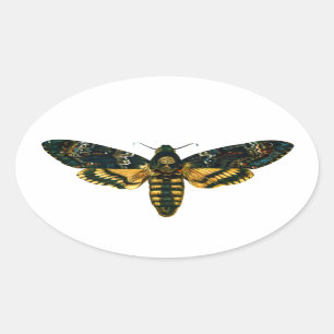 Death's Head Moth Oval Sticker
