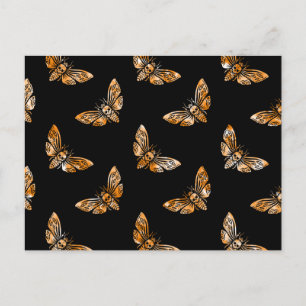 Death's Head Moth Pattern Postcard