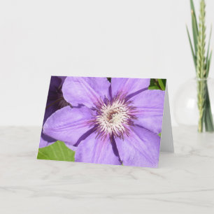 Debbie's Clematis Greeting Card