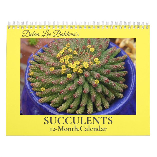 Debra Lee Baldwin's Succulents-2 12-Month Calendar (Cover)