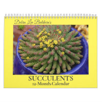Debra Lee Baldwin's Succulents-2 12-Month