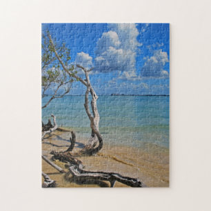 Debris to Blind Pass Jigsaw Puzzle