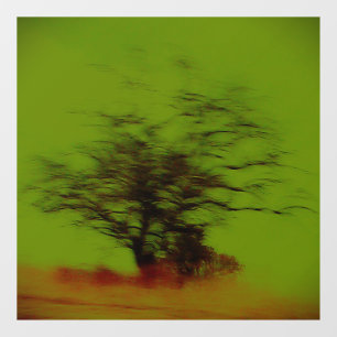 DECAL WALL DESIGN STYLE 