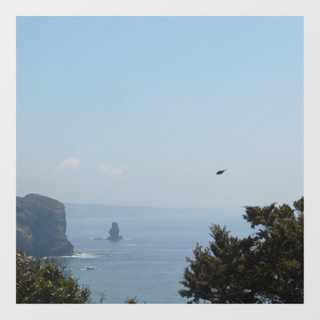 DECAL WINDOW CLING   (Sheet)