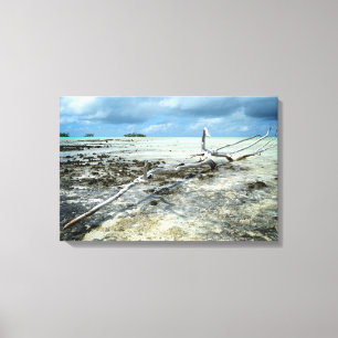 Decay in Paradise canvas print