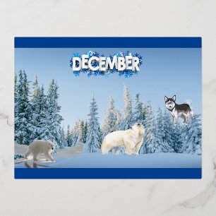 December Arctic Harmony Foil Holiday Postcard