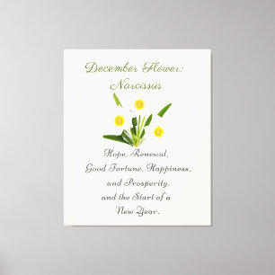 December Birth Month Flower Narcissus Elegant     Canvas Print
