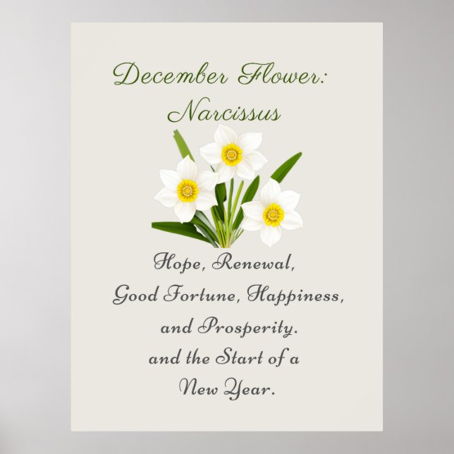 December Birth Month Flower Narcissus Elegant     Poster (Front)
