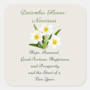December Birth Month Flower Narcissus Elegant Square Sticker
