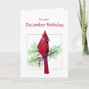 December Birthday Cardinal Bird, Nature Card