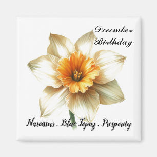 December Birthstone Flower Symbols and Meaning  Magnet