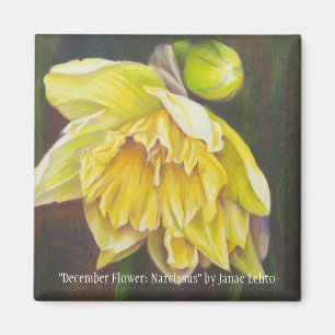 "December Flower: Narcissus" by Janae Lehto Magnet
