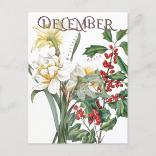 December Month Flowers  Narcissus Holly Fancy Postcard