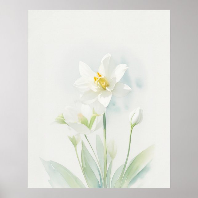 December Narcissus Birth Flower Poster (Front)