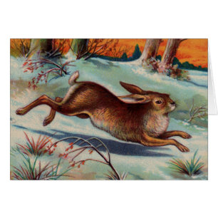 December Rabbit Note Card