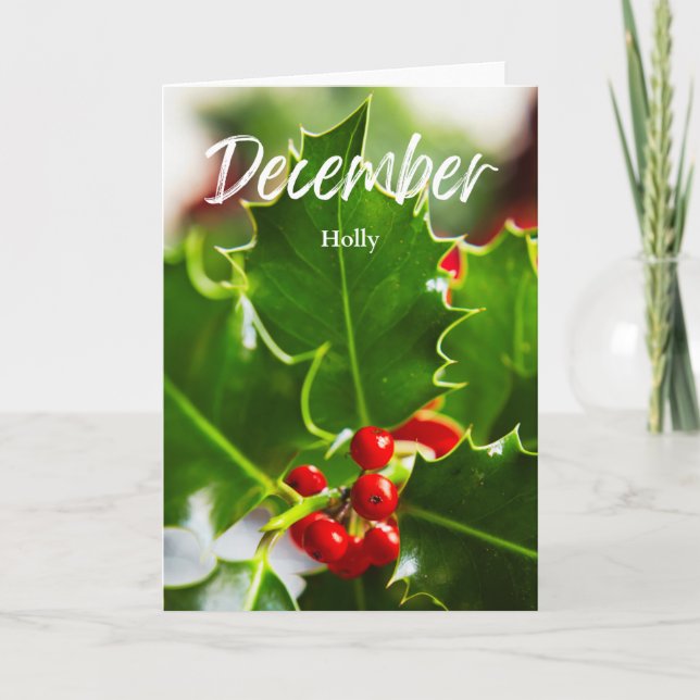 December Red Holly Birth Month Flower Birthday Card (Front)