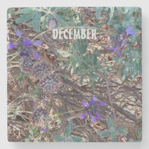 DECEMBER STONE COASTER