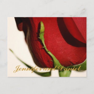 December Wedding Red Rose Announcement Card