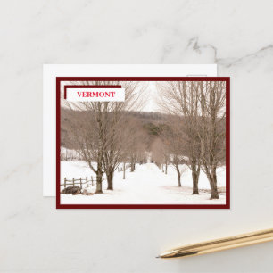 December White Snow Green Mountains Vermont  Postcard