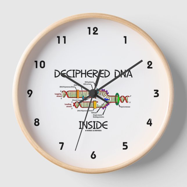 Deciphered DNA Inside DNA Replication Humour Clock (Front)