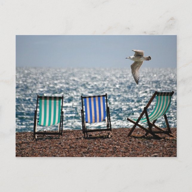 Deck Chairs Postcard (Front)