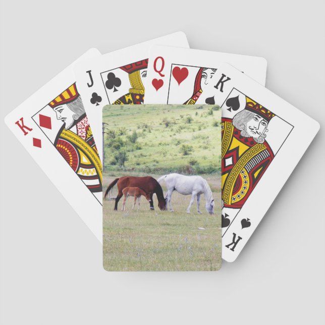 Deck of Cards, Horse Family Grazing Photograph Playing Cards (Back)