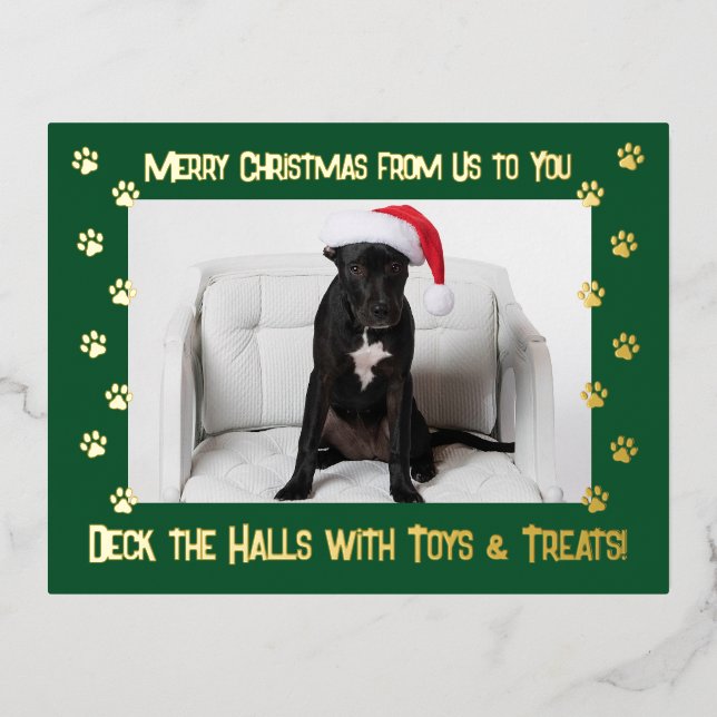 Deck the Halls With Toys & Treats Dog 2 Photo Foil Holiday Postcard (Front)