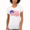 Declaration of Independence Flag