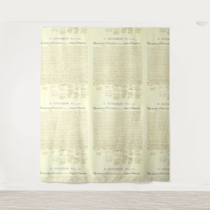 Declaration of Independence Pattern Tapestry