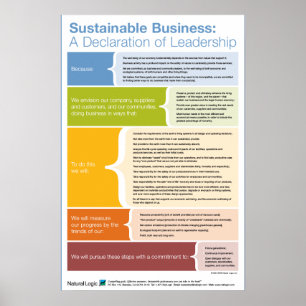 Declaration of Leadership Poster