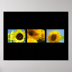 Deco Art prints Botanical Floral Sunflowers yellow